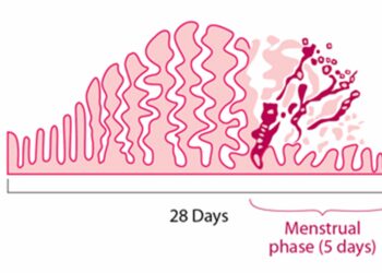 Adapter son alimentation pour soulager les douleurs des règles