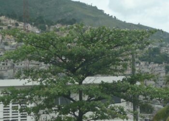 Haïti chérie… vue par “Carabistouilles” et autres !