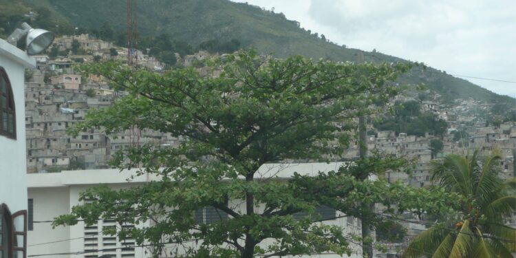 Haïti chérie… vue par “Carabistouilles” et autres !