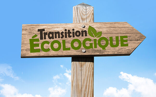 Transition écologique et enjeux locaux